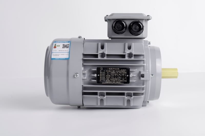 YE4三相异步节能电机 8级