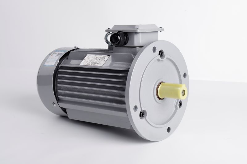 YE3三相异步节能电机 8级